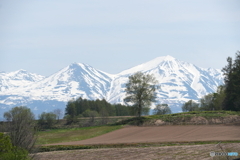 残雪の峰々