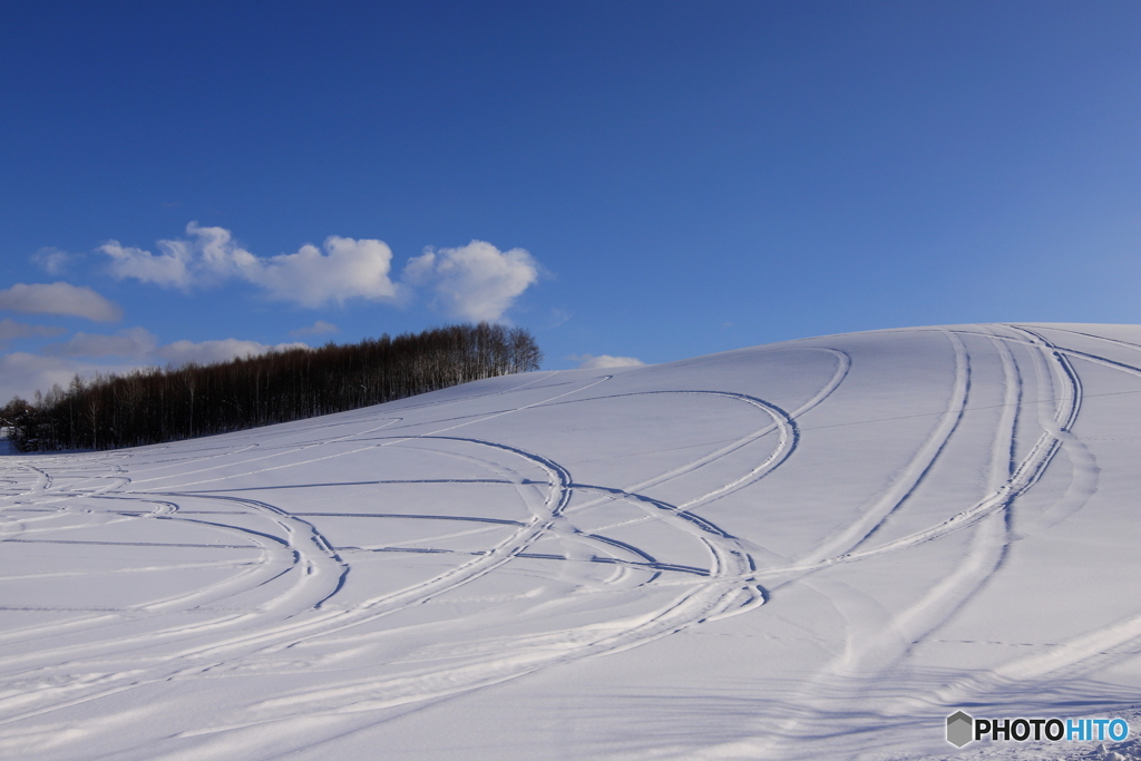 雪原に走行跡