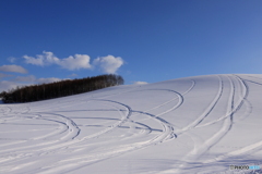 雪原に走行跡