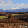 黄葉とトムラウシ山