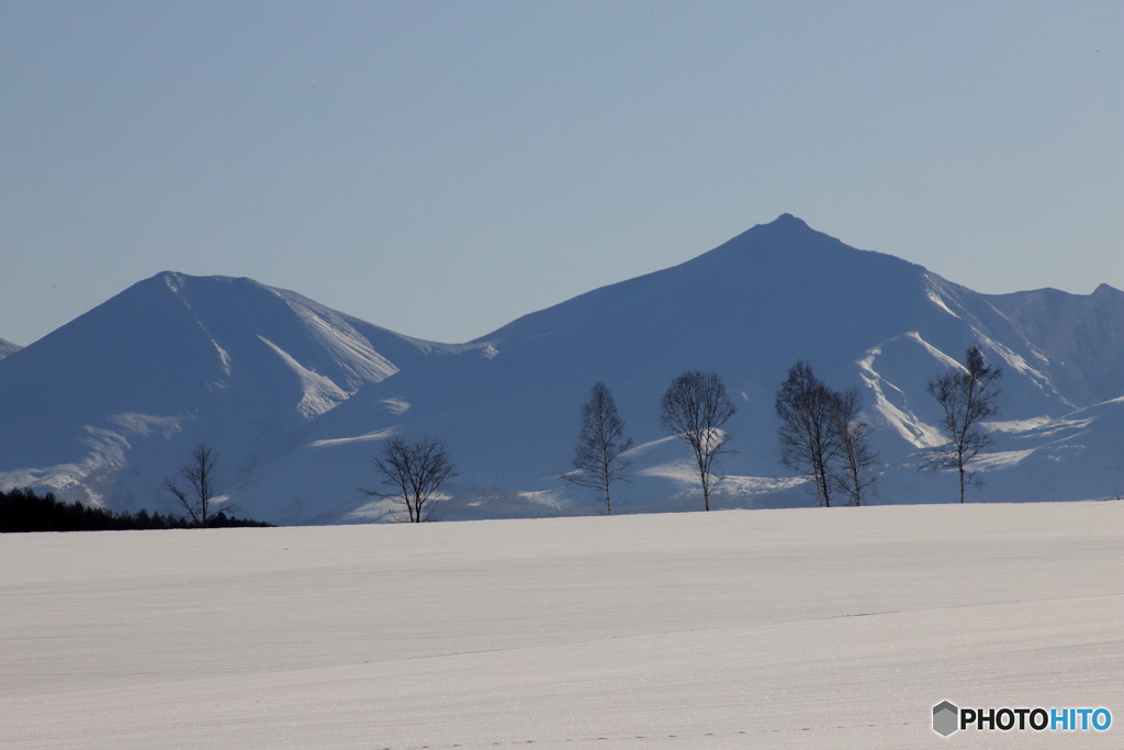 美瑛富士　美瑛岳