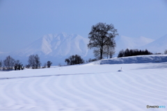 オプタテシケ山　