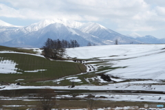 雪解けの丘陵