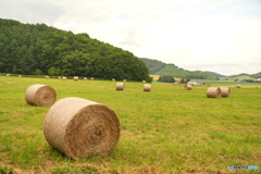 DSC06111　牧草ロール