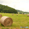 DSC06111　牧草ロール