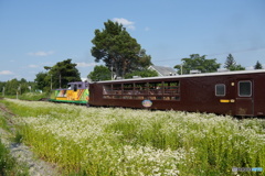 ノロッコ号