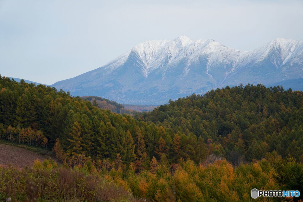 冠雪と黄葉