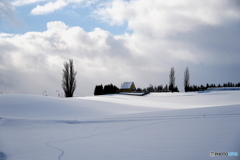 ポプラの丘　－Ⅲ