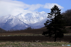 前富良野岳