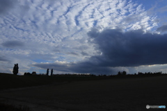 空には秋の雲