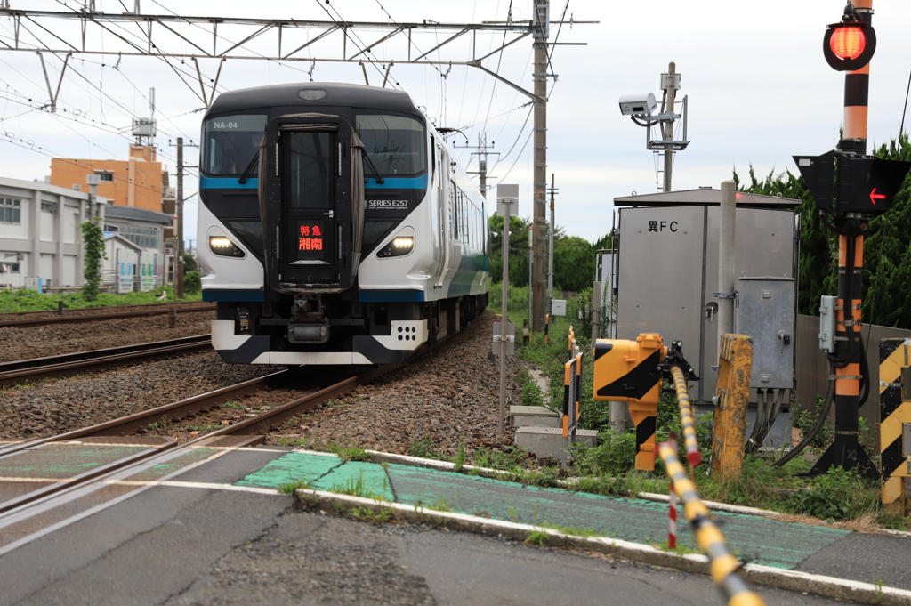 JR東海道線 通勤特急「湘南」