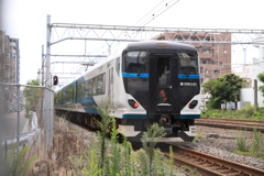 SERIES E257 特急「踊り子」