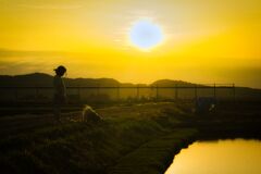 夕焼け空に犬の散歩