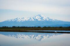 逆さ鳥海とシロサギ