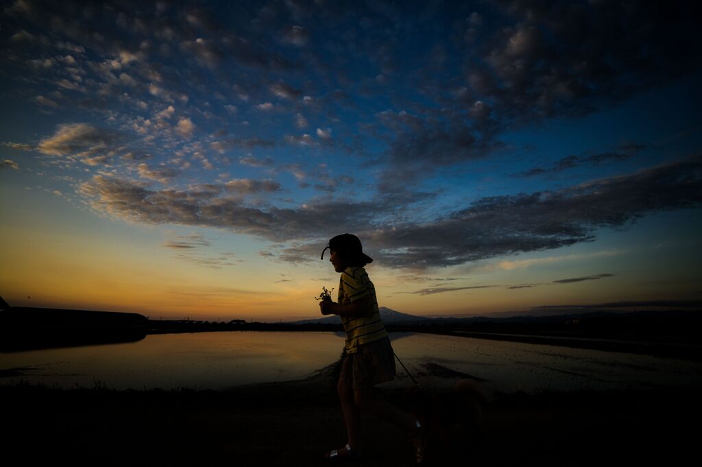 明日に向かって