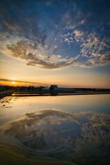 庄内平野の田んぼリフレクション