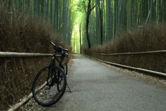 竹林と愛車