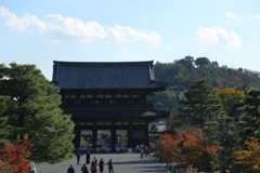 秋の仁和寺