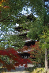 仁和寺