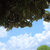 夏空