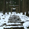 杉に囲まれ