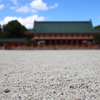 白い砂