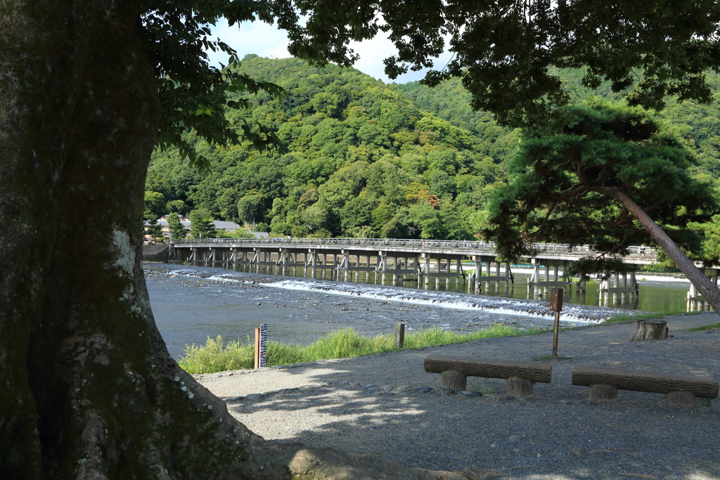 渡月橋（その２）