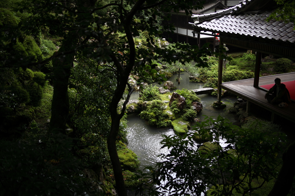 薄闇に紛れて