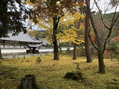 黄金寺