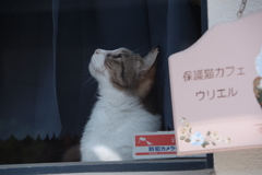 中崎町ウォーク
