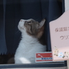 中崎町ウォーク