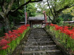 佛隆寺