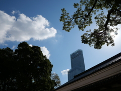 「てんしば」はどこだー