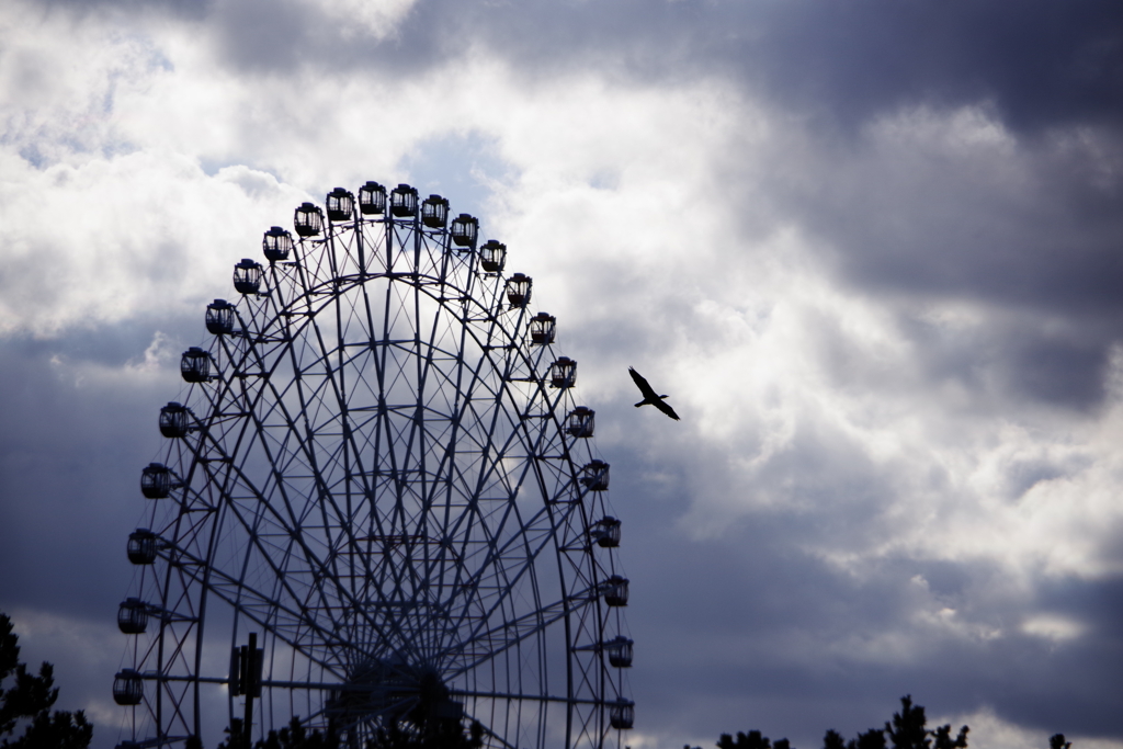 冬空