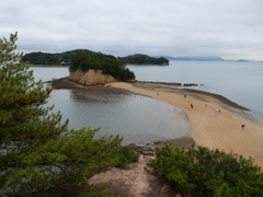 天使の散歩道