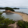 天使の散歩道