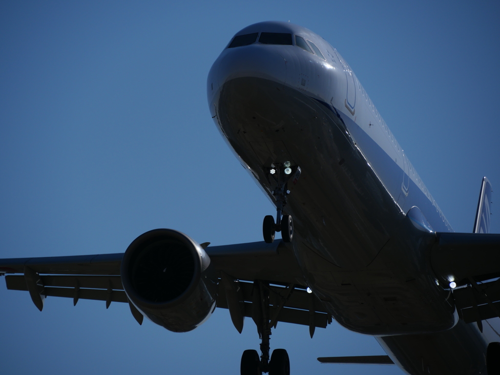 千里川土手にて