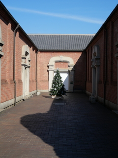 クリスマスツリー