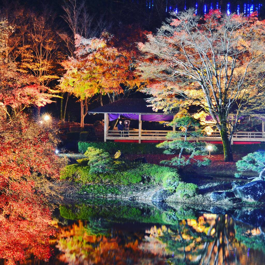 紅葉