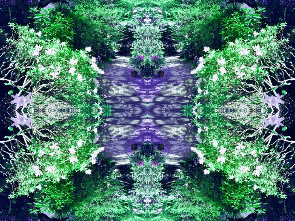 66　四季万華鏡　～夏～
