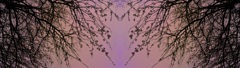104　reflection2