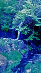 １２『：旅の始まりは、水の雫ちる音で終わる』