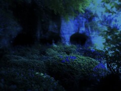 91　静寂の羽ばたき