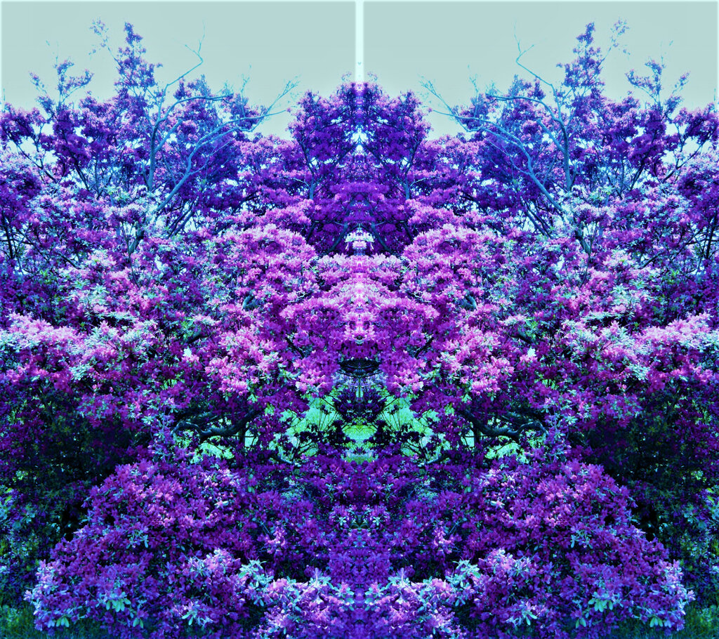 175　心噺