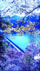 ３６　されど僕らは愛を識る