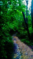 ５２『：水の呼び声、土の匂い、火の恋しさ、風の行方』