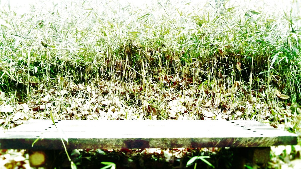 35　雨と影の間違い探し