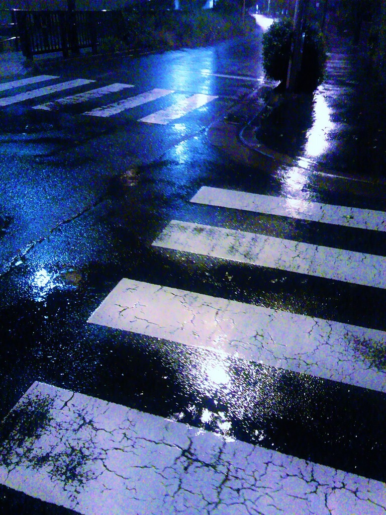 48　精彩な雨