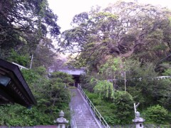 4　3000年後の世界