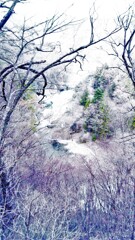 9　雪と氷のすれ違い